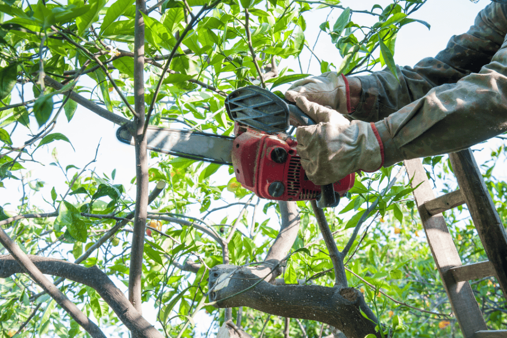 Arborist jobbar i Örebro