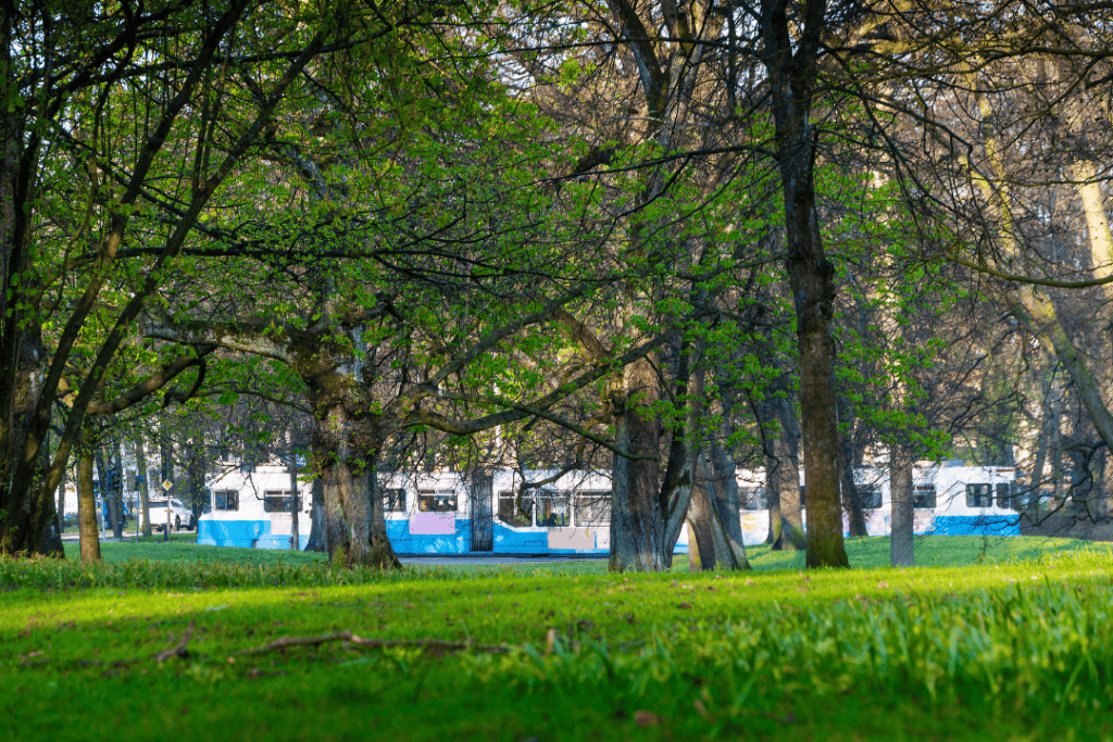 Trädfällning i Göteborg