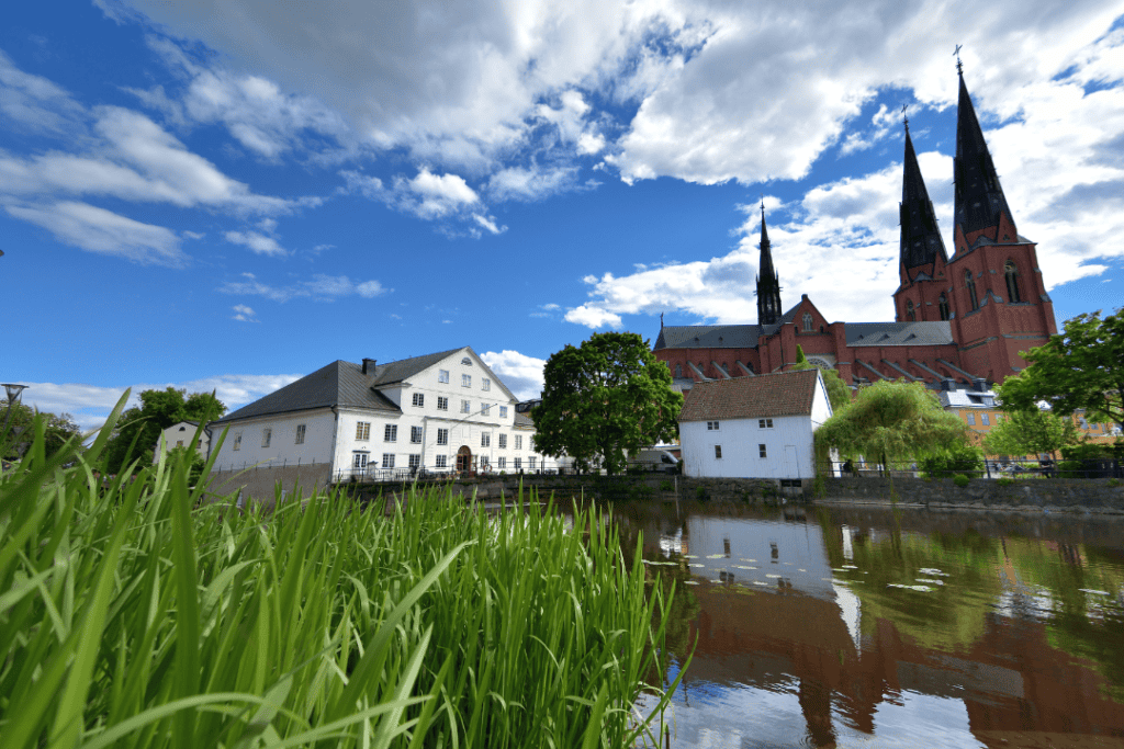 Uppsala trädfällning