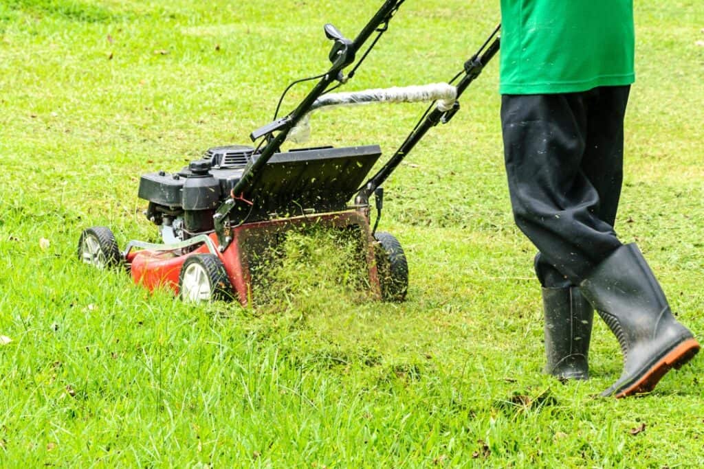 Gräsklippning pris, klippning av gräsmatta