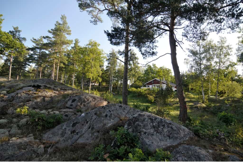 Fräsa stubbe Malmö