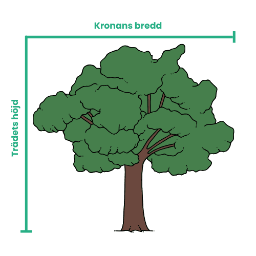 Mätning vid trädbeskärning
