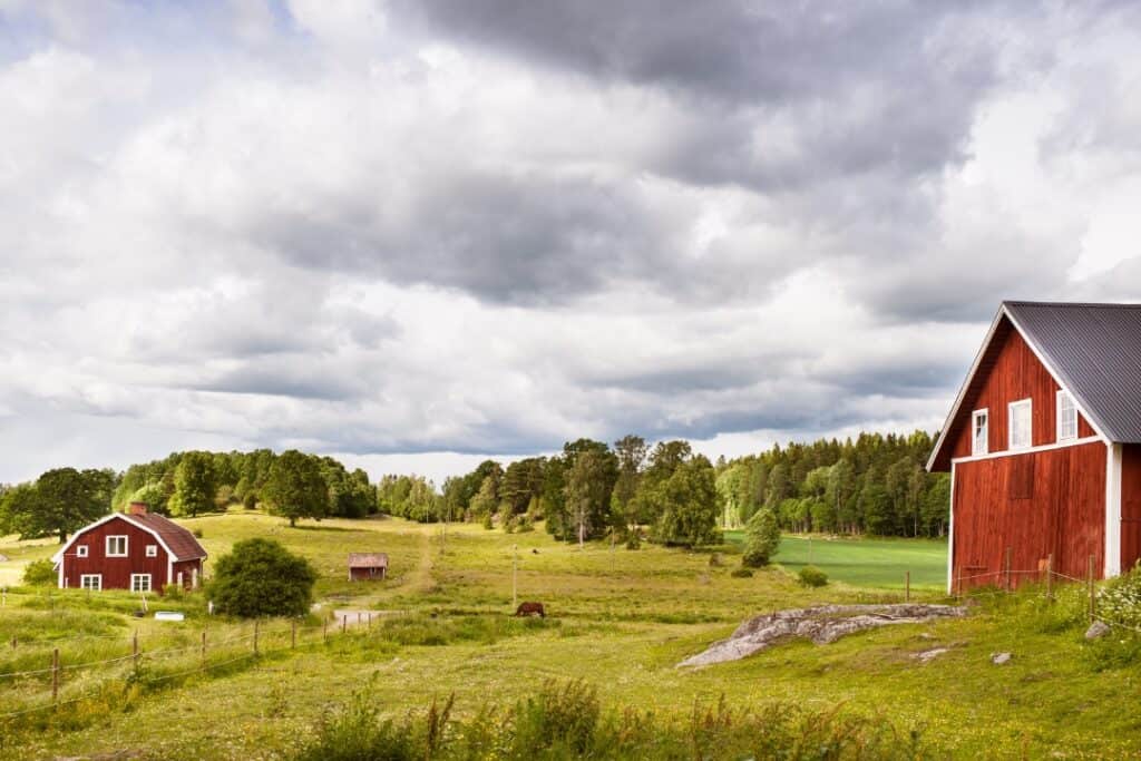 Fräsa bort stubbe utanför Norrköping